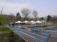 OGRÓDEK PIWNY PRZY WIŚLE.