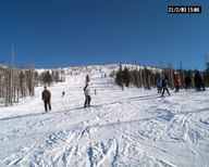 Górne partie Lolobrygidy