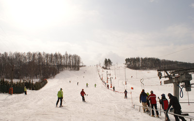 Siepraw-ski (foto: P. Kiliański)