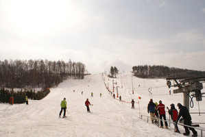 Siepraw-ski (foto: P. Kiliański)
