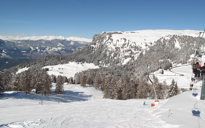 (foto: Piotr Tomczyk)