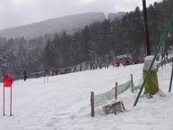 Widok z orczyka na trasę slalomu.