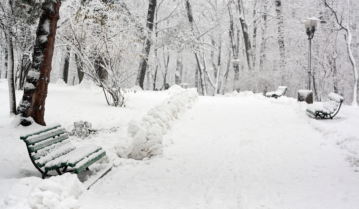 (foto: sxc.hu) (foto: sxc.hu)