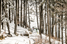 Polar Sport Skitour im. Basi German (foto: K. Osikowska-Tasz)