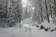 Rzyki - Czarny Gron - droga 2