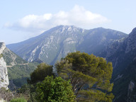 Lazurowe wybrzeże- widoki drzew