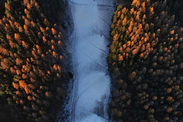 Palenica (fot. Bartek Jurecki) Palenica (fot. Bartek Jurecki)