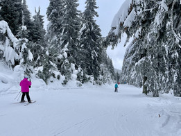 Trasa przez las - Kubińska Hola (fot. K. Kowalski) Trasa przez las - Kubińska Hola (fot. K. Kowalski)