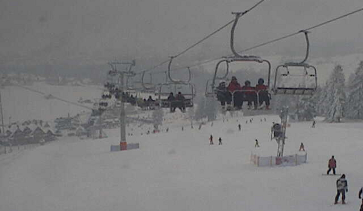 źródło: Kamera na Kaniówkę źródło: Kamera na Kaniówkę