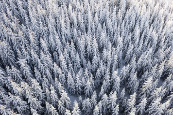 Szczyrk Mountain Resort (foto: mat. prasowe)