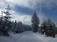 Szlak Szyndzielnia - Klimczok