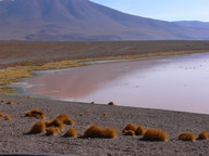 Bolivia Altiplano 3