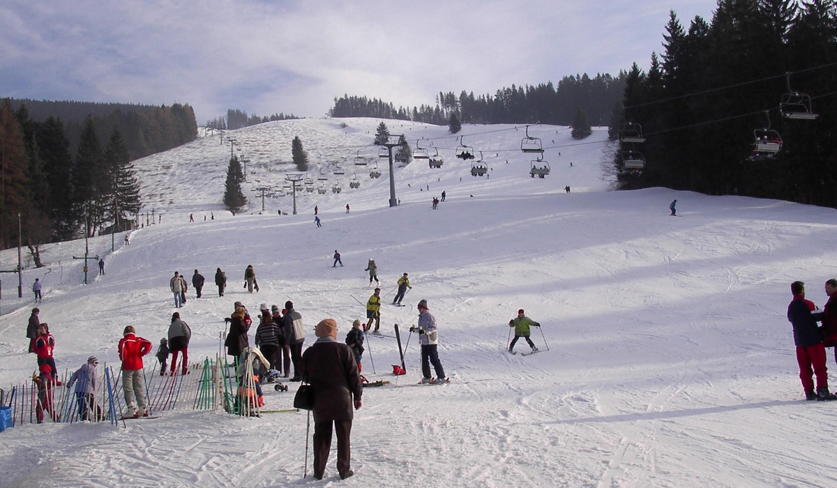 (foto: P. Tomczyk) (foto: P. Tomczyk)