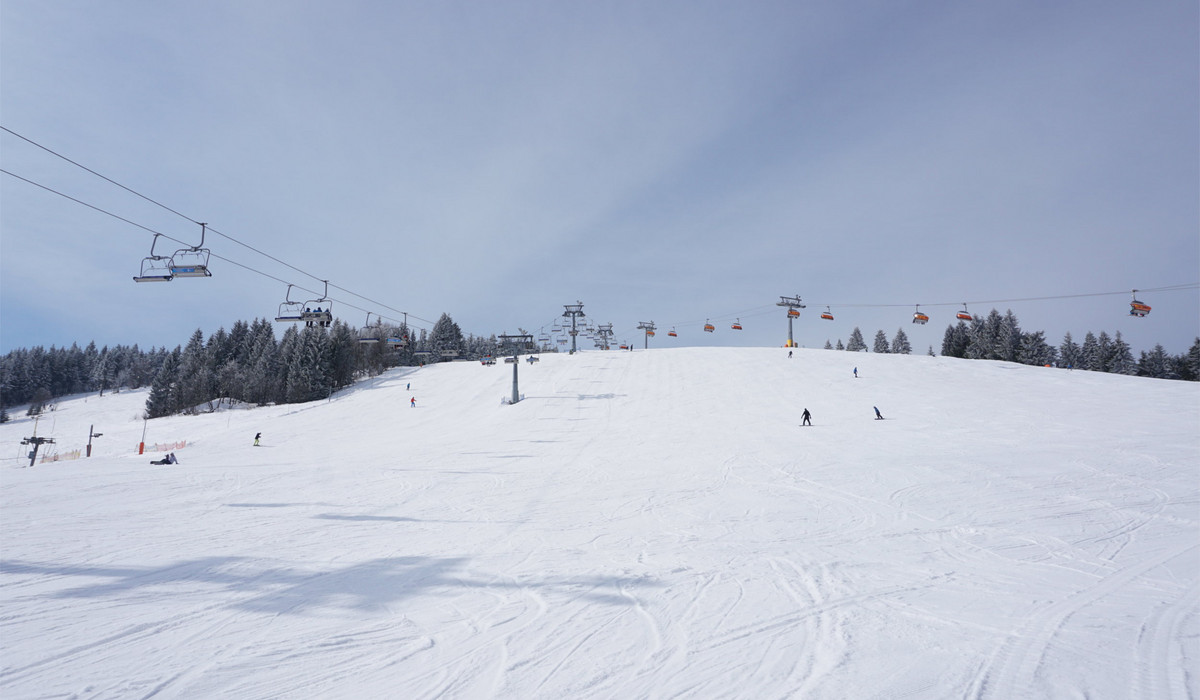 Zieleniec (foto: zieleniec.pl)