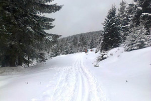 Białe trasy czekają (foto: Zieleniec Ski Arena)