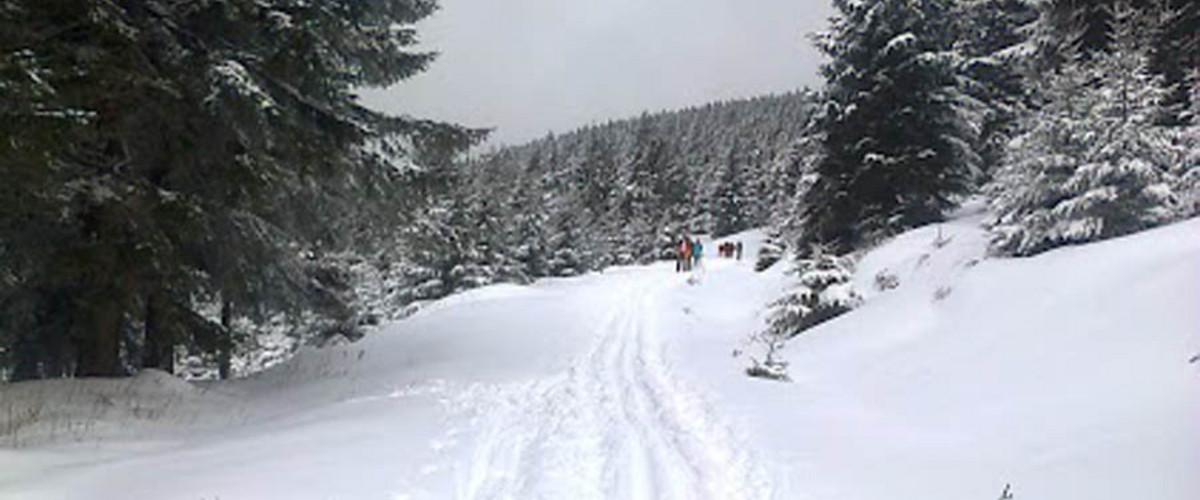 Białe trasy czekają (foto: Zieleniec Ski Arena)