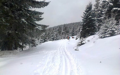 Białe trasy czekają (foto: Zieleniec Ski Arena)