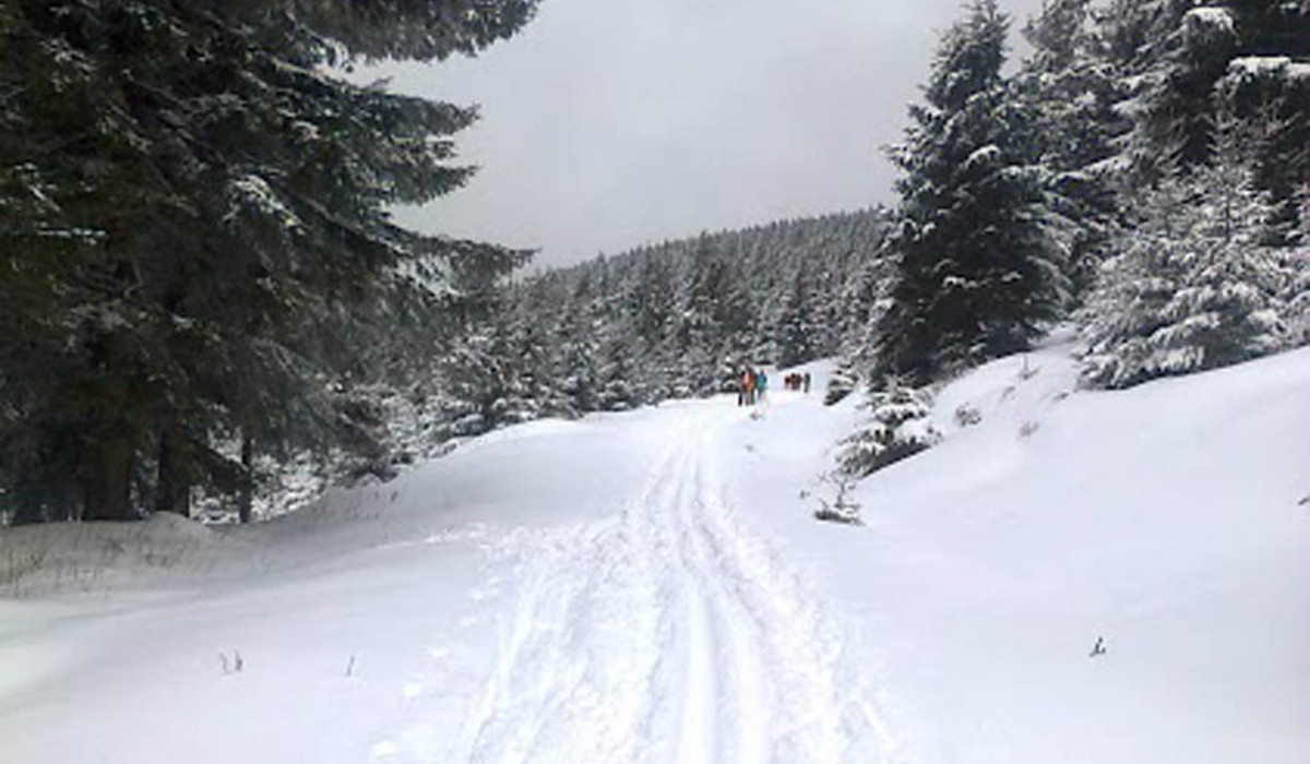 Białe trasy czekają (foto: Zieleniec Ski Arena) Białe trasy czekają (foto: Zieleniec Ski Arena)