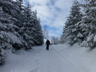 Pod szczytem Szyndzielni 1