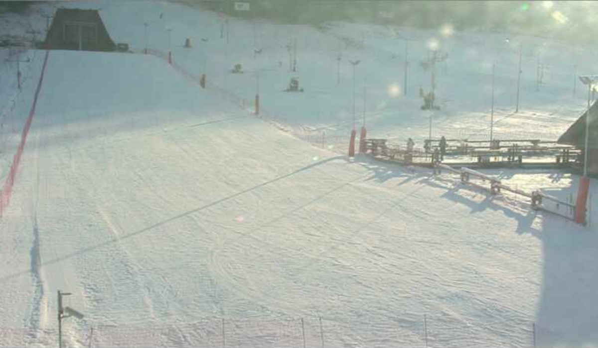 Nosal (źródło kamera internetowa)