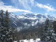 Widok na lesistą dolinę