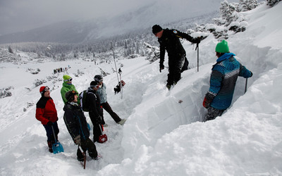 Tomek Gola - fikcja.pl