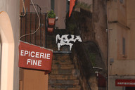 Lazurowe wybrzeże - krowa