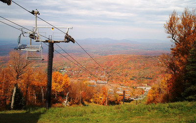 Foto: Paulius G z FreeImages