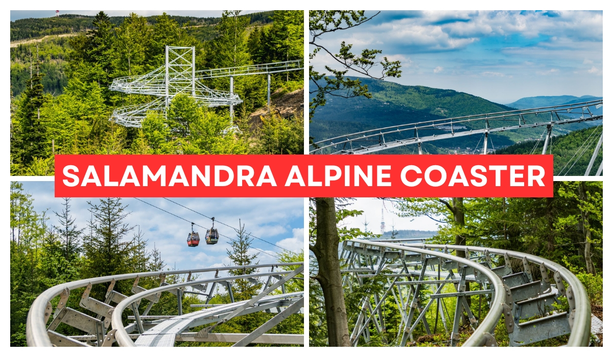 Salamandra Alpine Coaster – hit wakacji 2026 w Szczyrku Kolaż czterech zdjęć pokazujących Salamandra Alpine Coaster – hit wakacji 2026 w Szczyrku