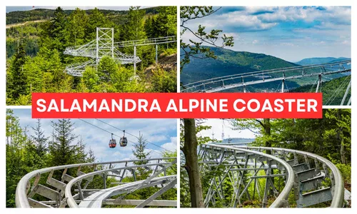 Kolaż czterech zdjęć pokazujących Salamandra Alpine Coaster – hit wakacji 2026 w Szczyrku