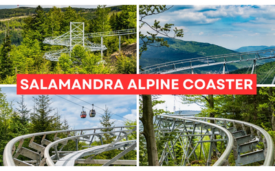 Kolaż czterech zdjęć pokazujących Salamandra Alpine Coaster – hit wakacji 2026 w Szczyrku