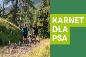 Okładka artykułu Narty.pl. Po lewej zdjęcie pary turystów z psem idących górską ścieżką w lesie w Gastein. Po prawej na zielonym tle duży, biały napis „KARNET DLA PSA”. Grafika zachęca do odkrywania Gastein ze swoim pupilem.