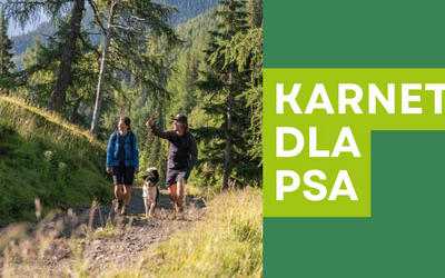 Okładka artykułu Narty.pl. Po lewej zdjęcie pary turystów z psem idących górską ścieżką w lesie w Gastein. Po prawej na zielonym tle duży, biały napis „KARNET DLA PSA”. Grafika zachęca do odkrywania Gastein ze swoim pupilem.