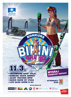 Plakat Bikini Skiing 2017