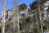 Kasprowy Wierch- ferie- kolejka za drzewami