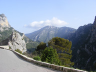 Lazurowe wybrzeże- asfaltowe drzewa