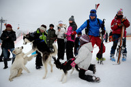 Słowacja - śnieżne psy- przywitane psów 2