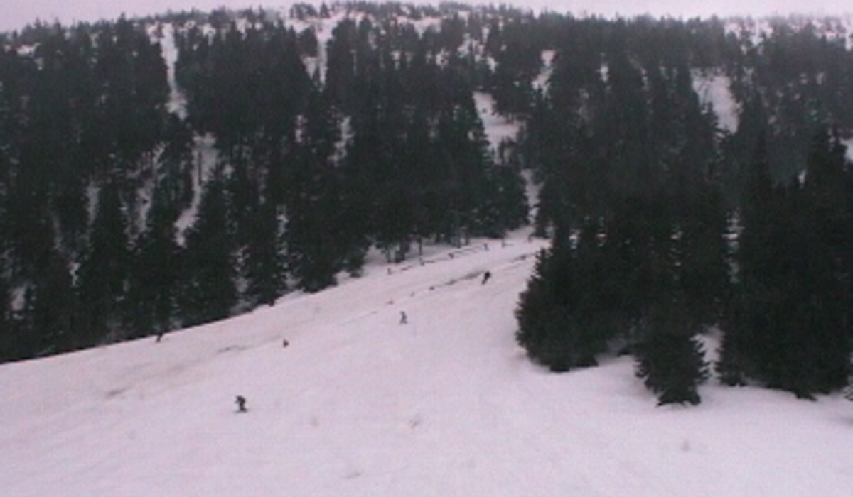 Kamera (obraz 12-03-2007)