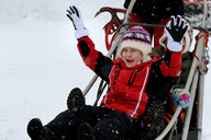 Słowacja - śnieżne psy- sanki 3