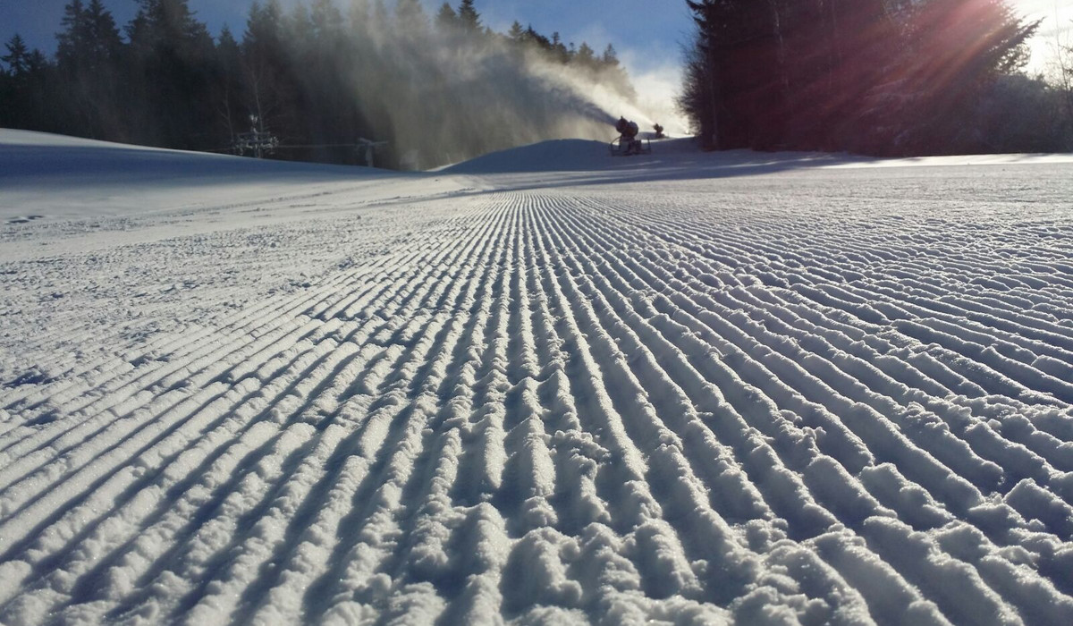 Stacja narciarska Dwie Doliny Muszyna Wierchomla (foto: wierchomla.com.pl)