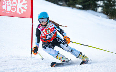 Tauronek Siepraw (foto: Wiktor Bubniak)