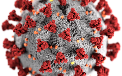 SARS-CoV-2 / commons.wikimedia.org/