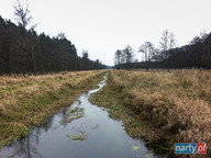 Płynie strumyk, płynie