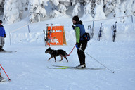 Czechy - Szpindlerowy Młyn (foto: J Kałucki / Travelplanet.pl) Czechy - Szpindlerowy Młyn (foto: J Kałucki / Travelplanet.pl)