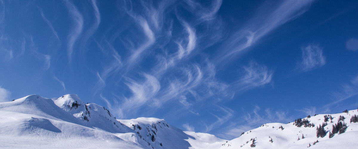 fot. Julia Schwab / Pixabay