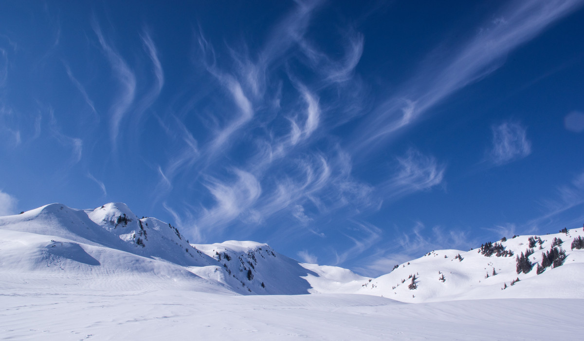 fot. Julia Schwab / Pixabay fot. Julia Schwab / Pixabay