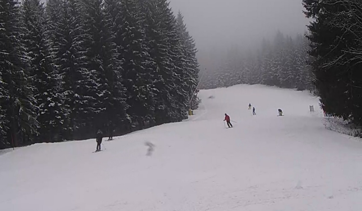 Czarna Góra 27.02.2015 (źródło: WebCamera)