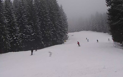 Czarna Góra 27.02.2015 (źródło: WebCamera)