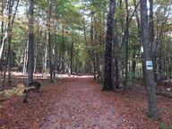 Ścieżka rowerowa w Jurze Krakowsko Częstochowskiej