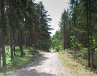 W drodze do Koszęcina 2